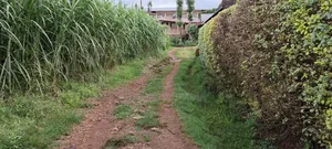 Plots for Sale