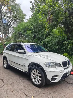 BMW X5 xDrive35d AWD (3.0L 6cyl 6A) 2011 White