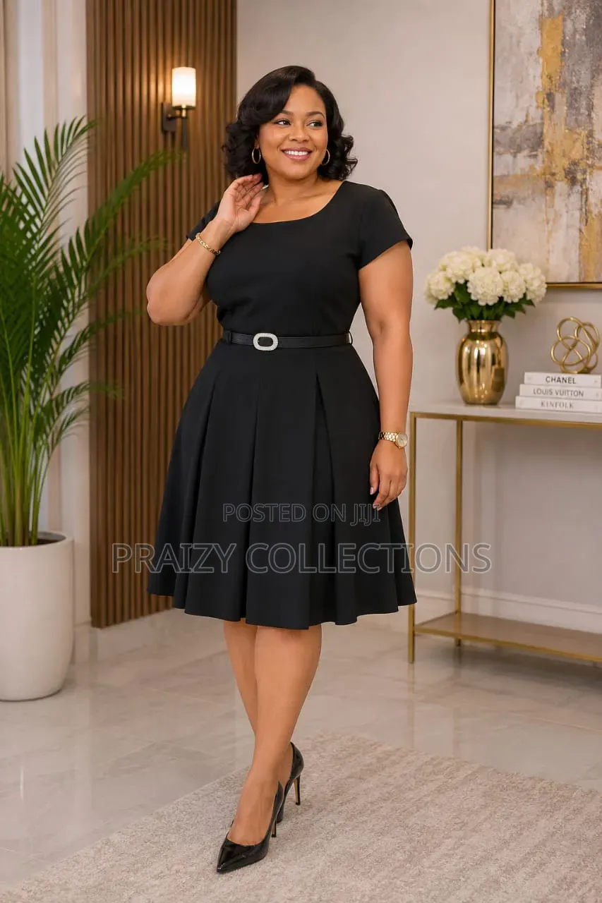 Elegant 2pc Executive Dress Set
