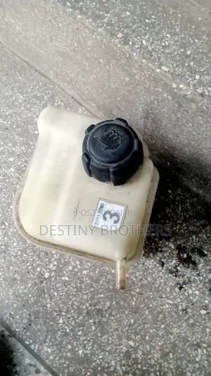 Reserve Coolant Tank Nissan Dualis