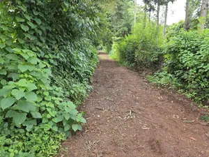 1 Acre Karatina Ngorano