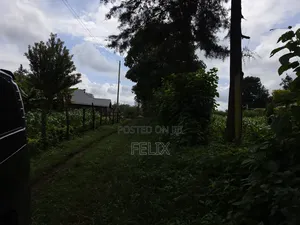 1 Acre Karatina Ngorano