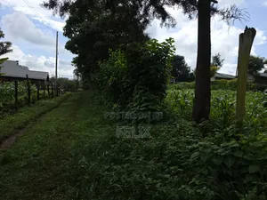 1 Acre Karatina Ngorano