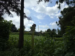 1 Acre Karatina Ngorano