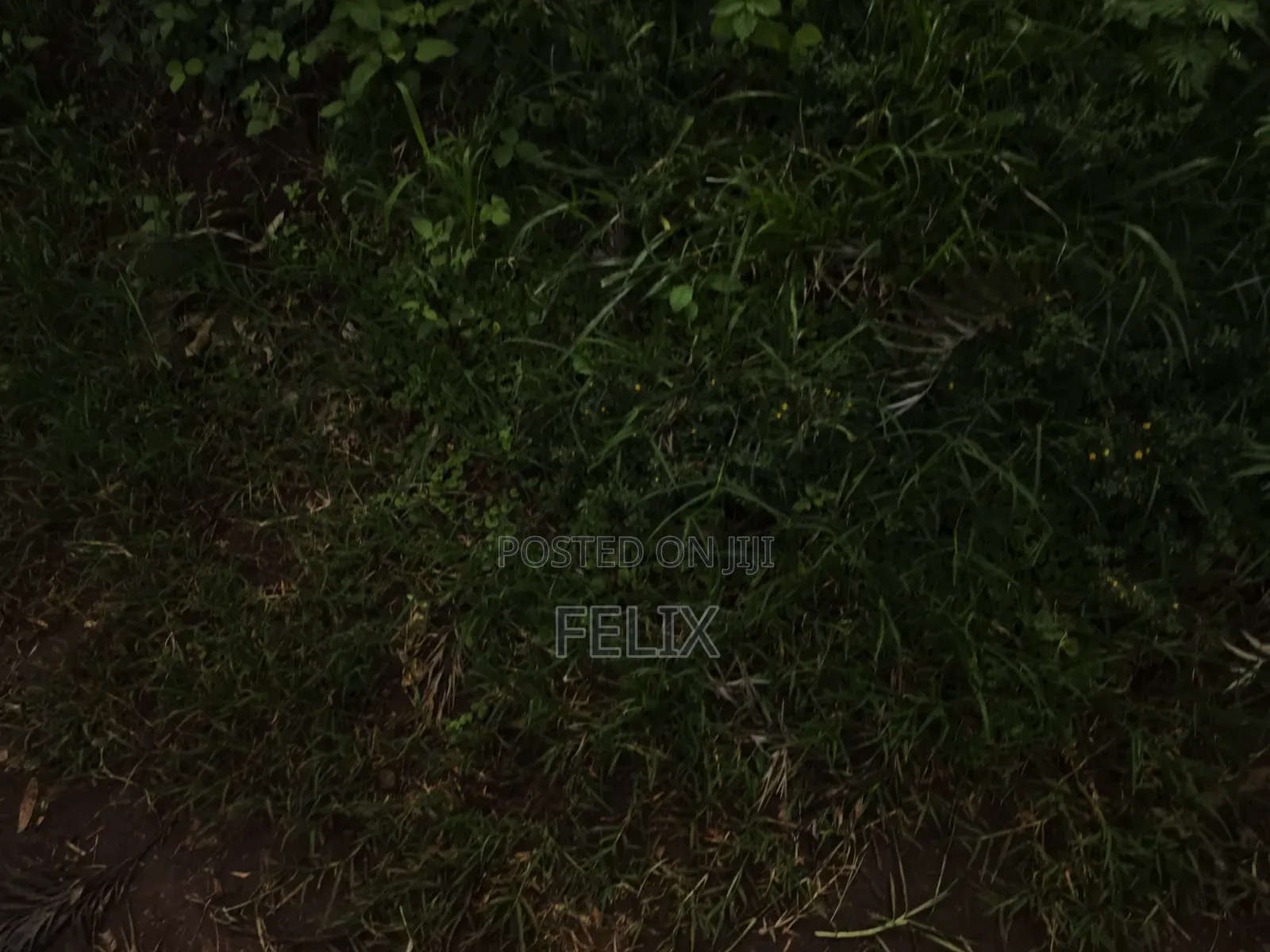 1 Acre Karatina Ngorano