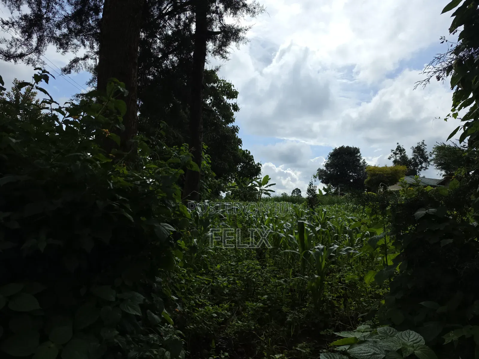 1 Acre Karatina Ngorano