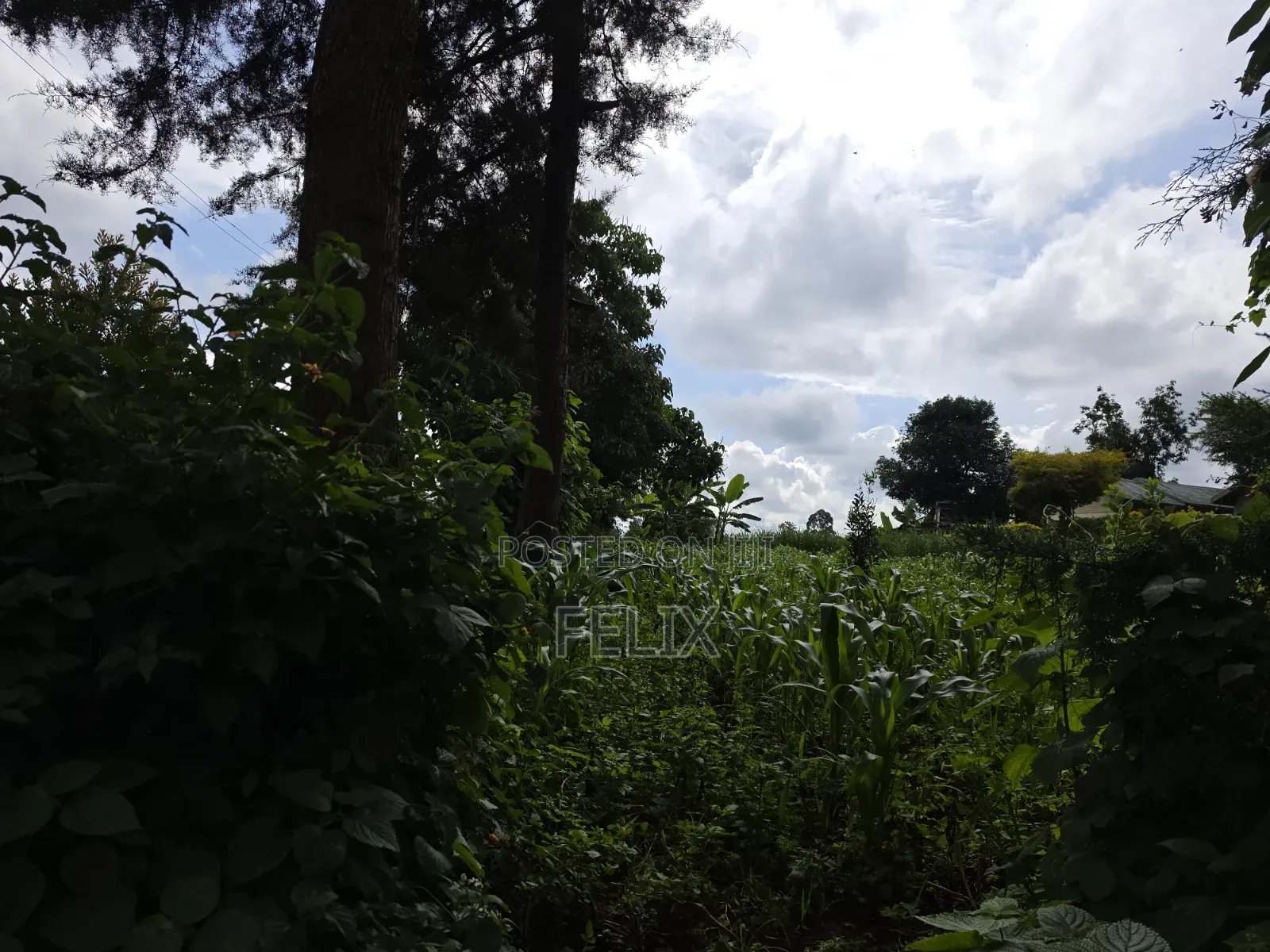 1 Acre Karatina Ngorano