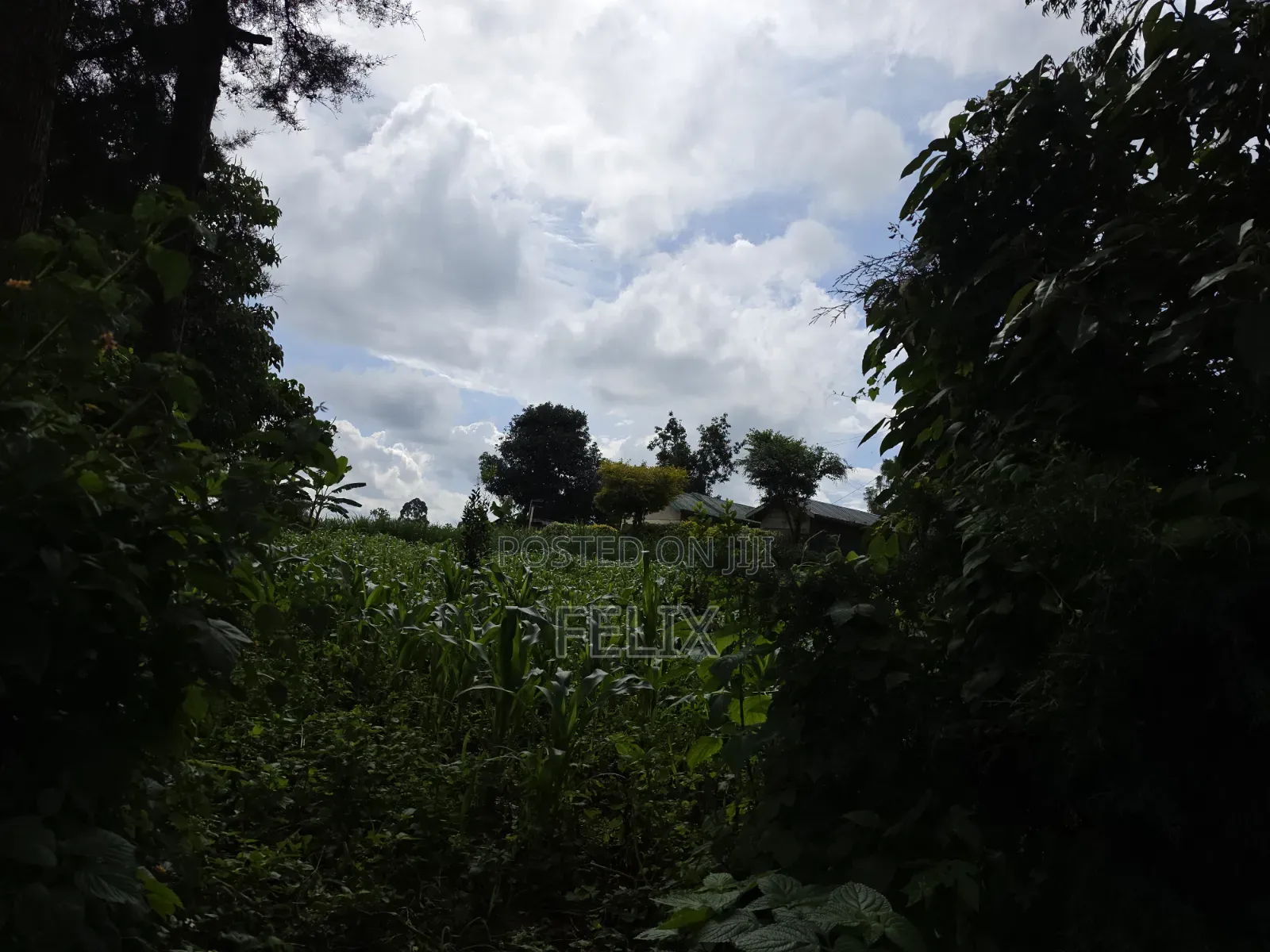 1 Acre Karatina Ngorano