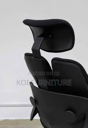 Office Chairs; Executive Office Seat With Dual Backrest