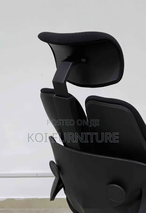 Office Chairs; Executive Office Seat With Dual Backrest