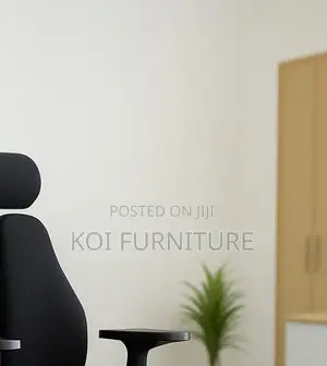 Office Chairs; Executive Office Seat With Dual Backrest