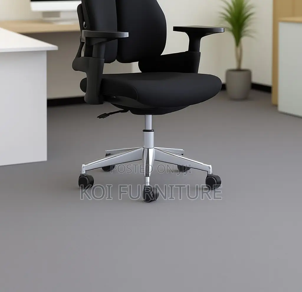 Office Chairs; Executive Office Seat With Dual Backrest