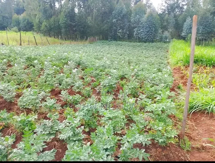 Kigumo Prime Land