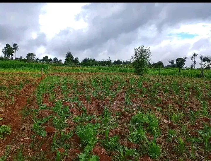 Kigumo Prime Land
