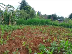 Kigumo Prime Land