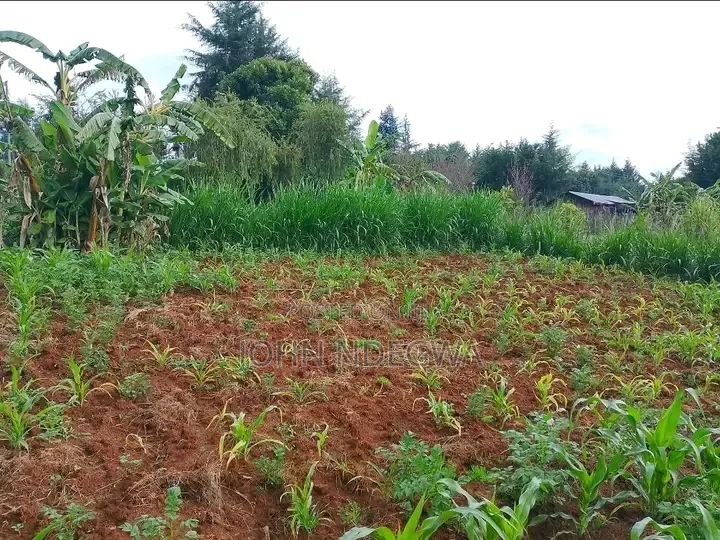 Kigumo Prime Land