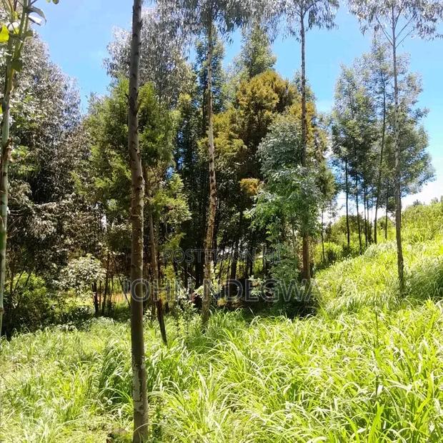 Lari Prime Land