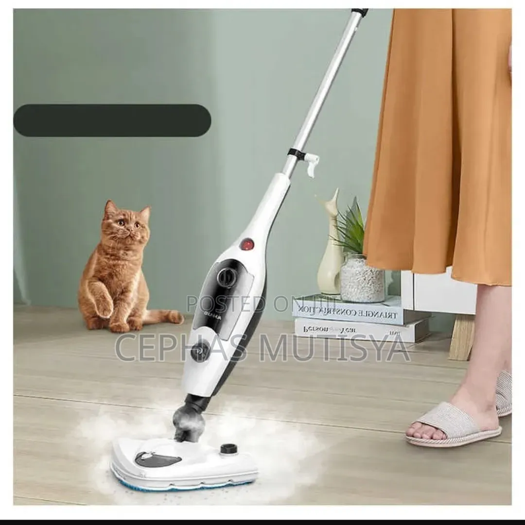 10 in 1 Multifunction Electric Steam Cleaner. Cleans Floors and Sofas.
