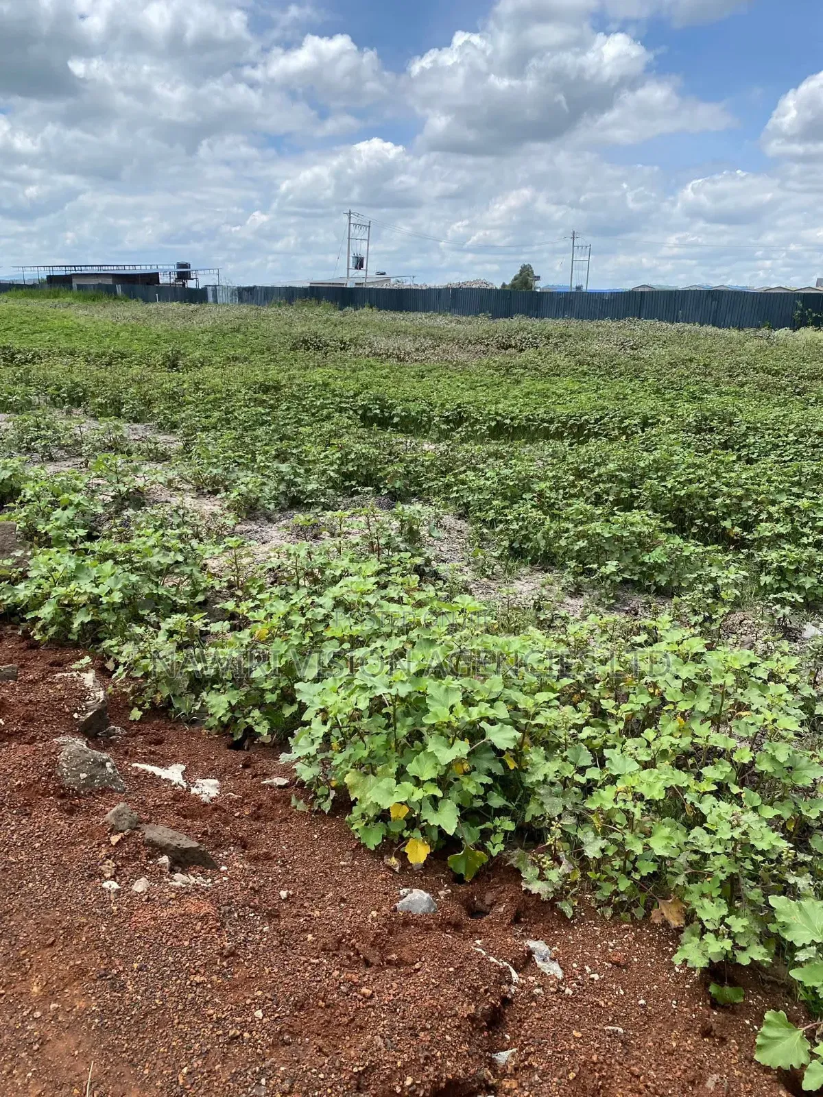 Prime 5 Acres to Lease Along Eastern Bypass.