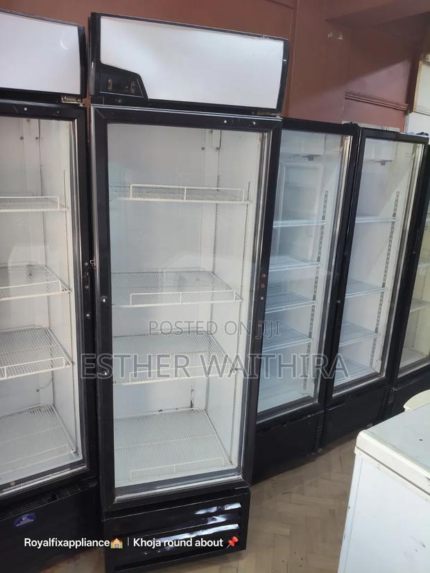 ,500litres Freestanding and Affordable Display Fridge - thumbnail 3