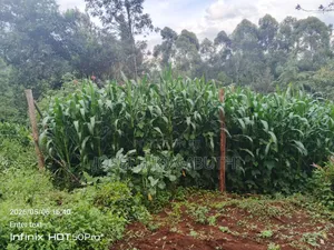 100*100 Plot in Ikinu,Kiambu