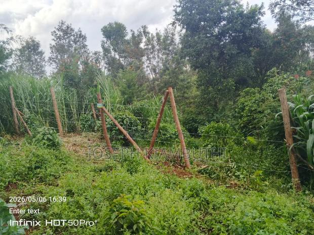 100*100 Plot in Ikinu,Kiambu - thumbnail 4