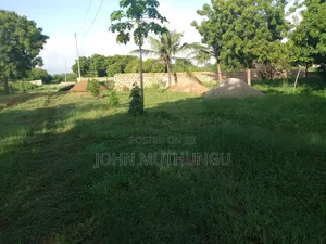 Diani Net Airstrip