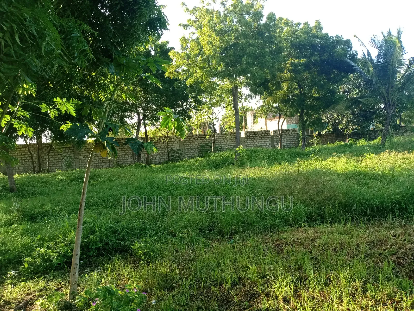 Diani Net Airstrip
