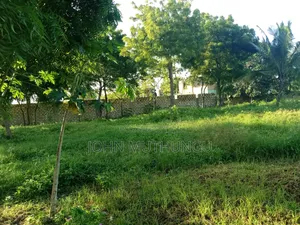 Diani Net Airstrip