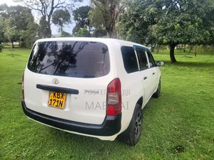 Toyota Probox 1.3 DX 2WD 2006 White