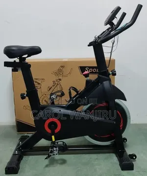 Quality Euromax Spin Bike/Euromax Spin Bike