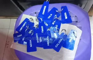 Acrylic Guest House Keyholders