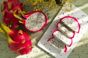 White and Red Dragon Fruit Seedlings and Cuttings