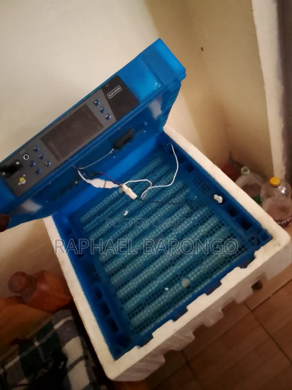 Egg Incubator