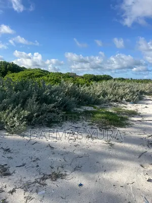 4 Acres Land in Watamu