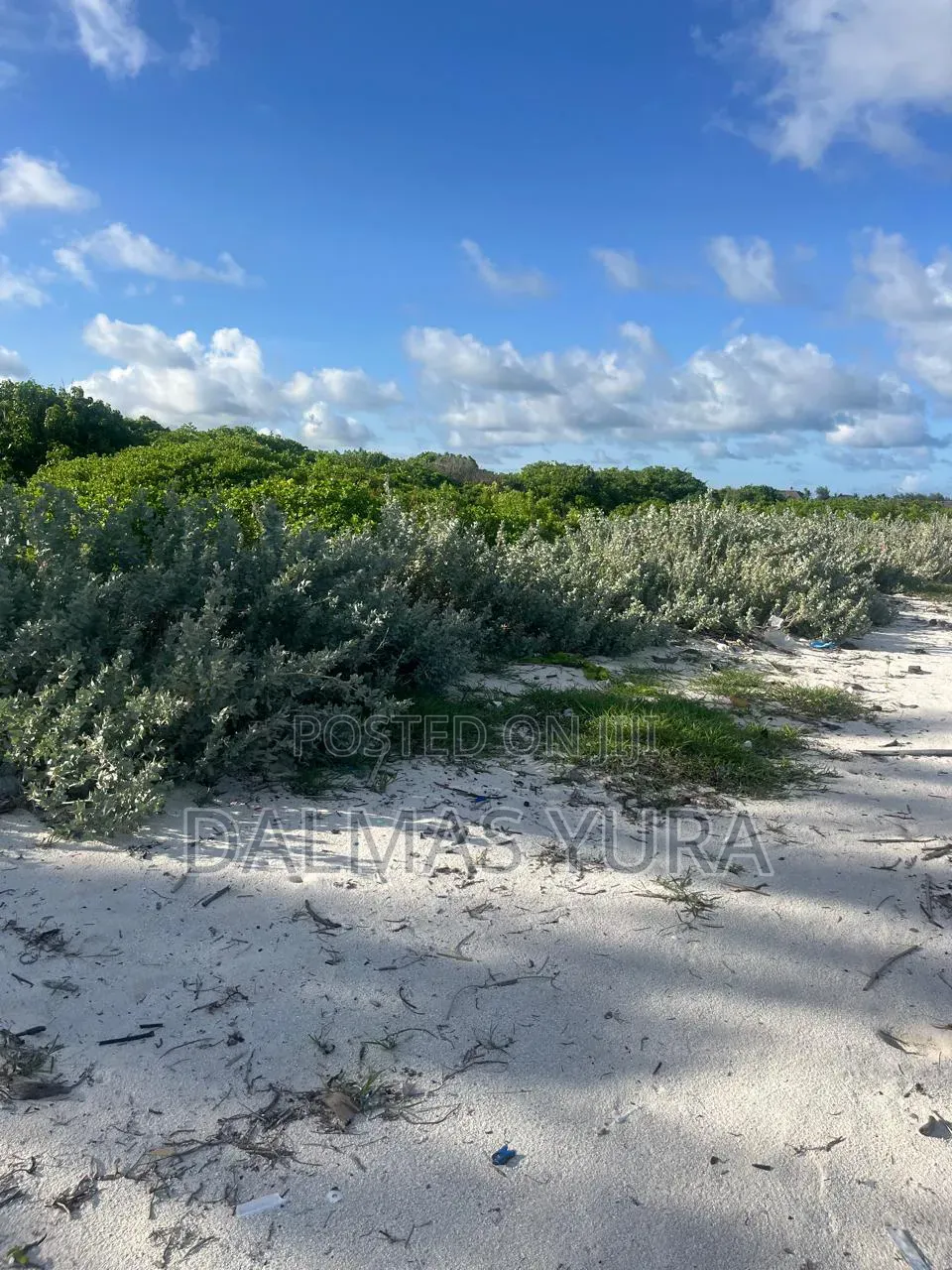 4 Acres Land in Watamu