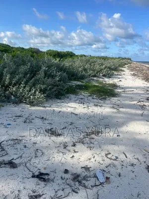 4 Acres Land in Watamu