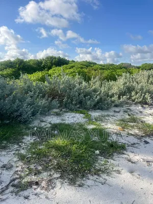 4 Acres Land in Watamu