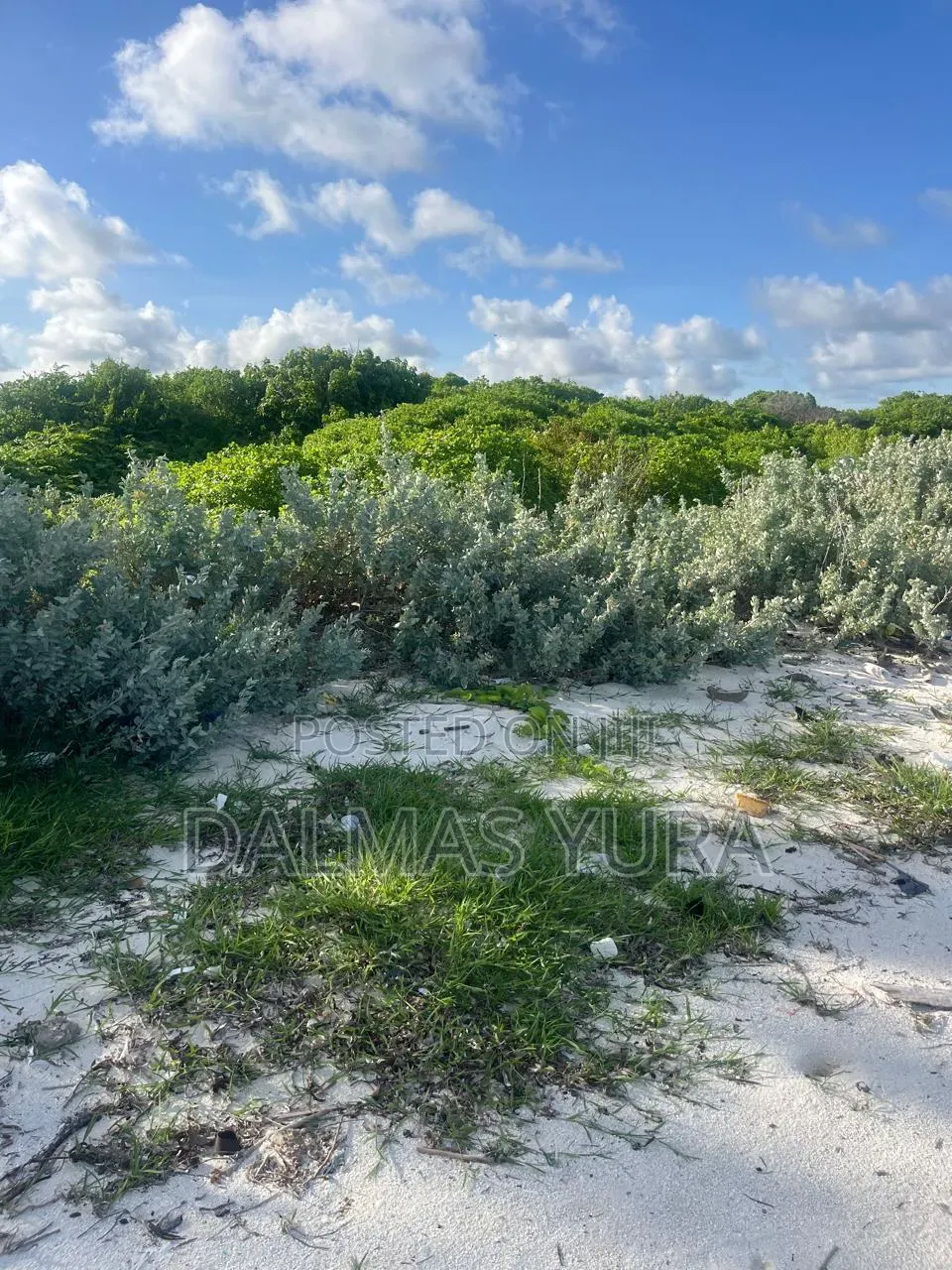 4 Acres Land in Watamu