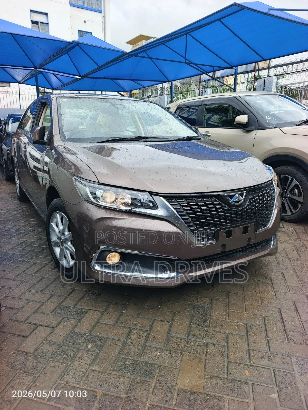 Toyota Allion 2019 Brown