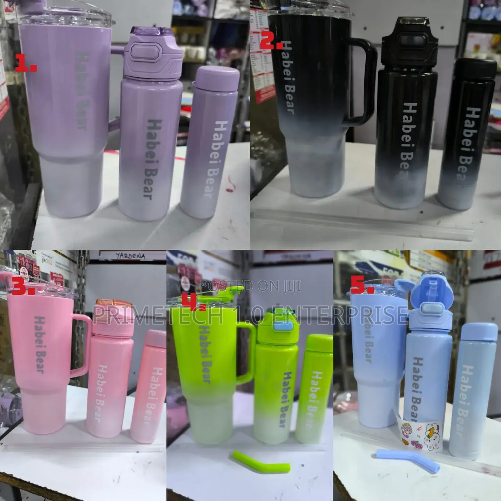 3 in 1 Stanley Bottles