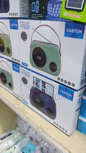 Caston Wireless Rechargeable Portable Speaker With Bluetooth Fm Radio