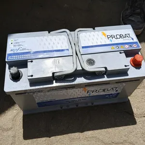 Probat Din 100 Car Battery Maintenance Free