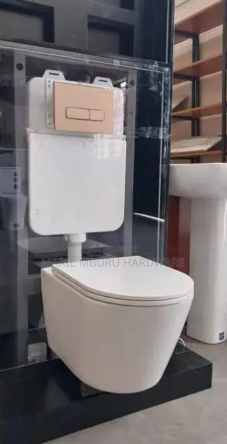 Wall Toilet Seat