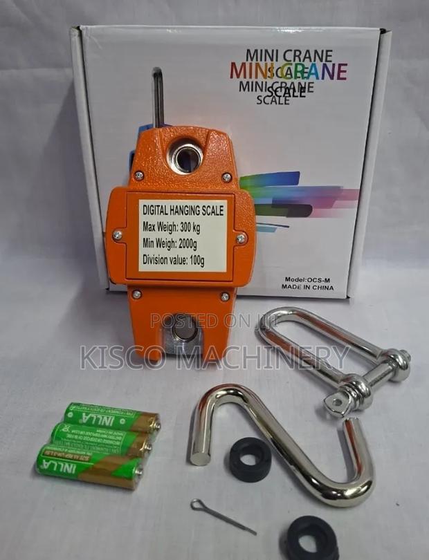 300kg Crane Scale/Professional 300kg Crane Scale