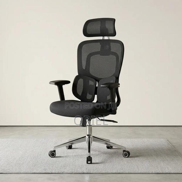 Modern Office Chair : Office Stylish Ergonomic Orthopedic Chair