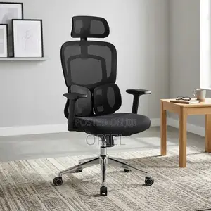 Modern Office Chair : Office Stylish Ergonomic Orthopedic Chair
