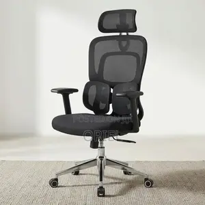 Modern Office Chair : Office Stylish Ergonomic Orthopedic Chair