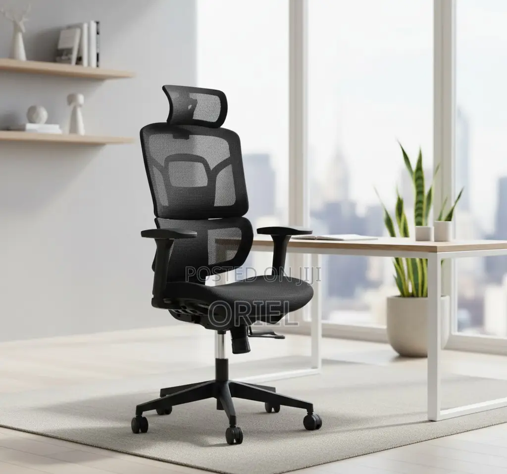 Modern Office Chair : Office Stylish Ergonomic Orthopedic Chair