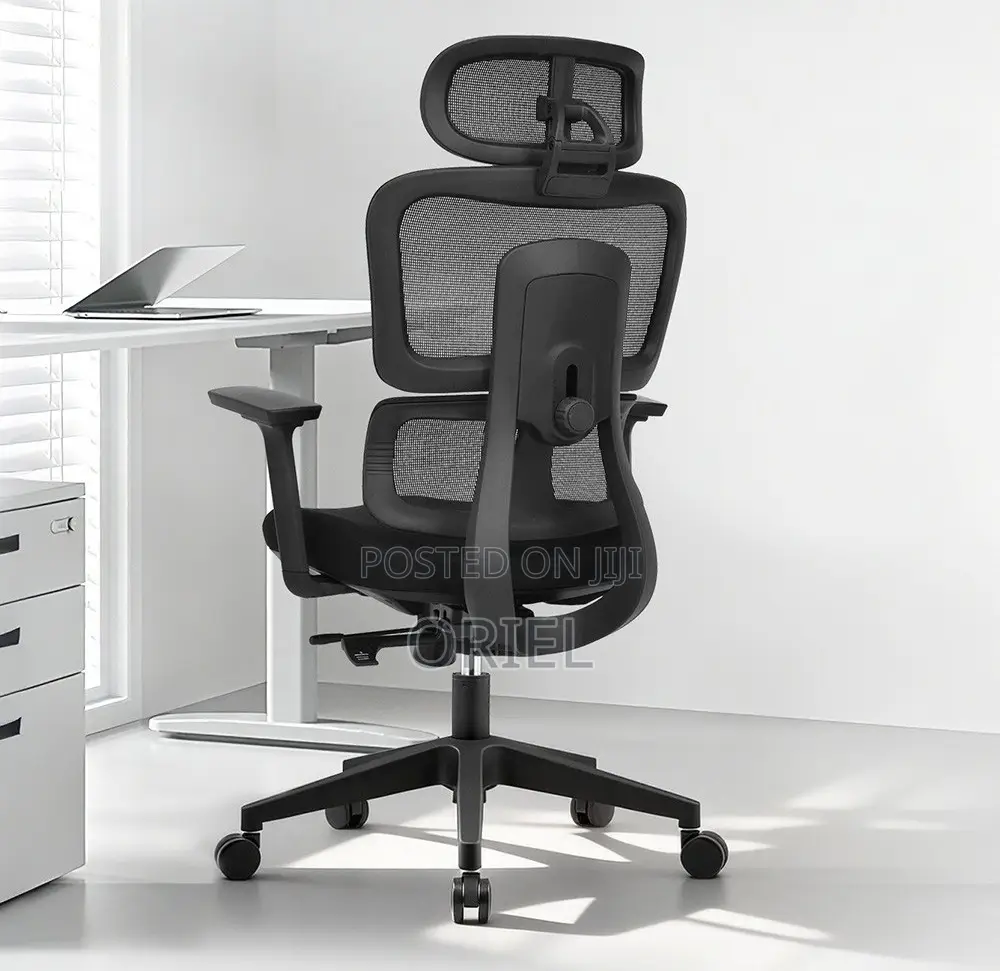 Modern Office Chair : Office Stylish Ergonomic Orthopedic Chair